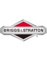 Brigg & Stratton